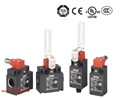 欧姆龙 安全门铰链开关 D4NH-2DAS